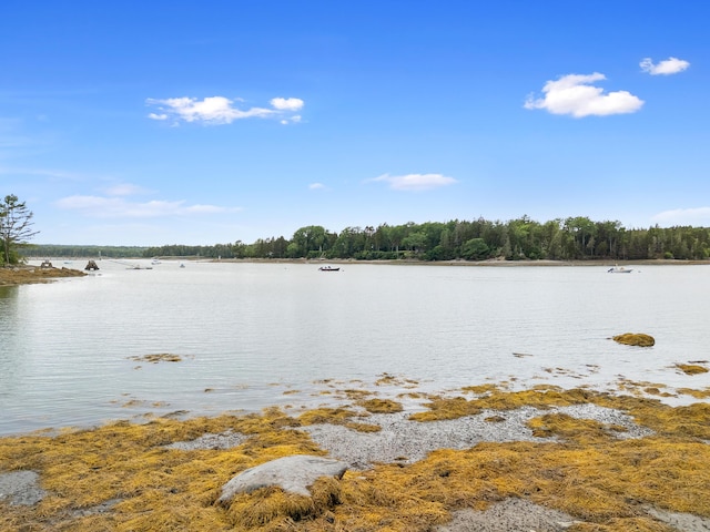 7 Ocean Ridge Rd, Cushing, ME 04563 - photo 4