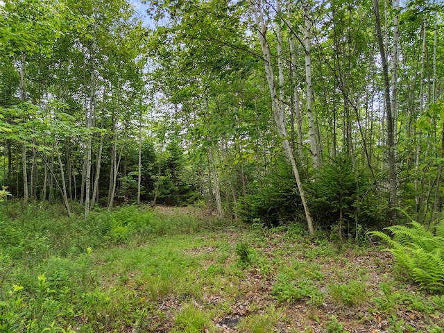 7 Ocean Ridge Rd, Cushing, ME 04563 - photo 7