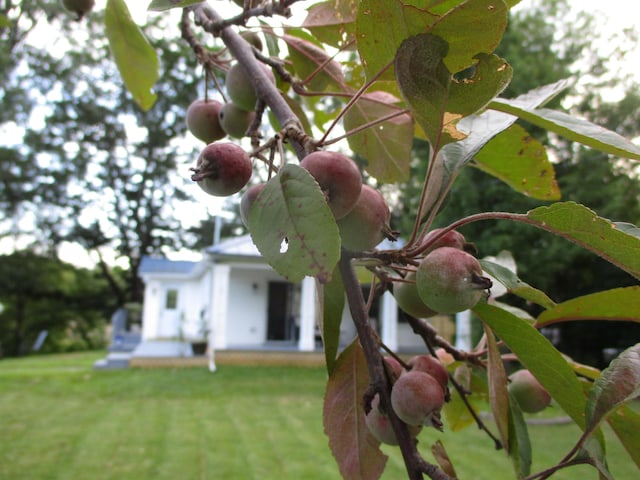 20 Towle Ave, Auburn, ME 04210 - photo 29