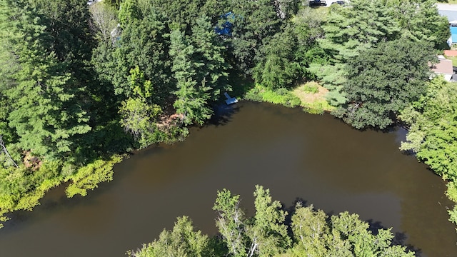20 Towle Ave, Auburn, ME 04210 - photo 31