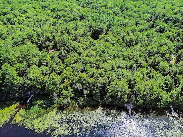 39 Tilton Pond Rd, Fayette, ME 04349 - photo 71
