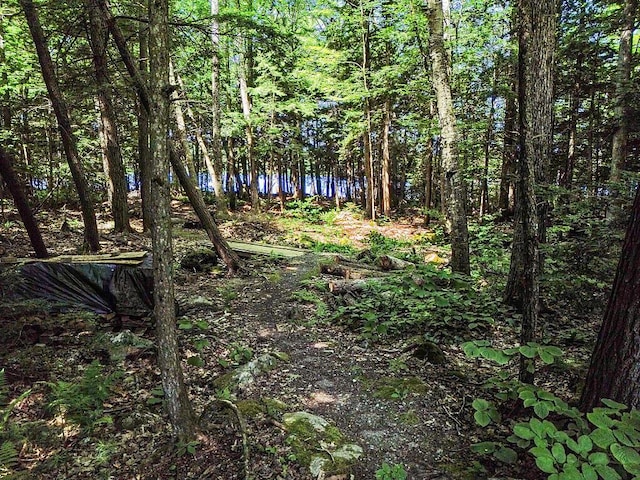 39 Tilton Pond Rd, Fayette, ME 04349 - photo 82