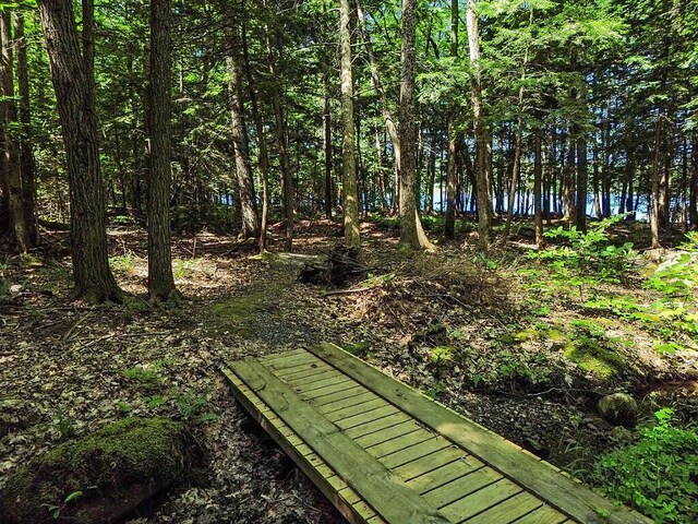 39 Tilton Pond Rd, Fayette, ME 04349 - photo 84