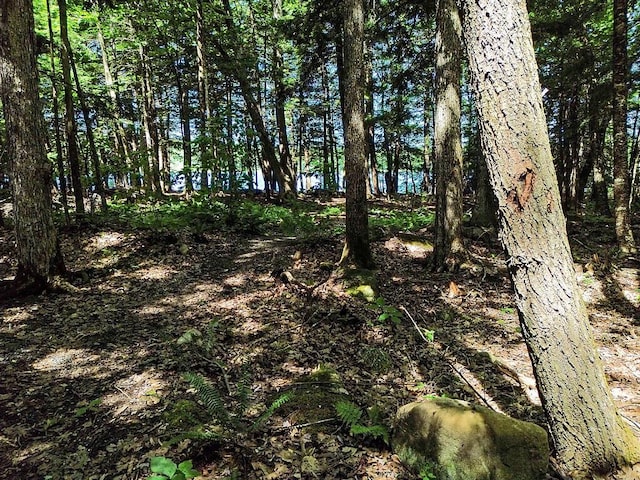 39 Tilton Pond Rd, Fayette, ME 04349 - photo 85