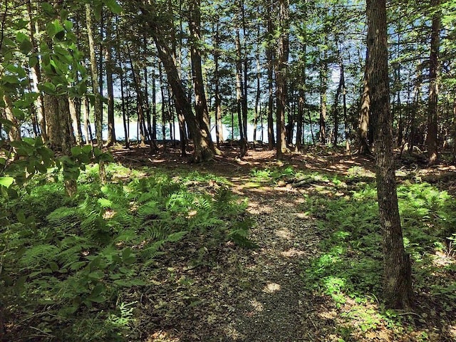39 Tilton Pond Rd, Fayette, ME 04349 - photo 86