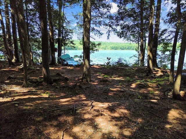 39 Tilton Pond Rd, Fayette, ME 04349 - photo 88