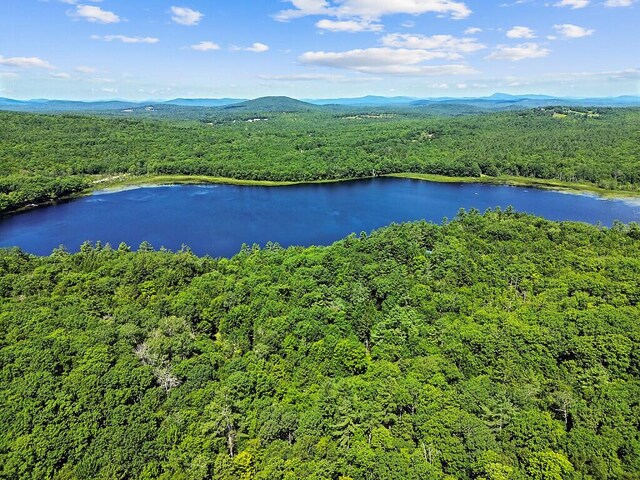 39 Tilton Pond Rd, Fayette, ME 04349 - photo 90