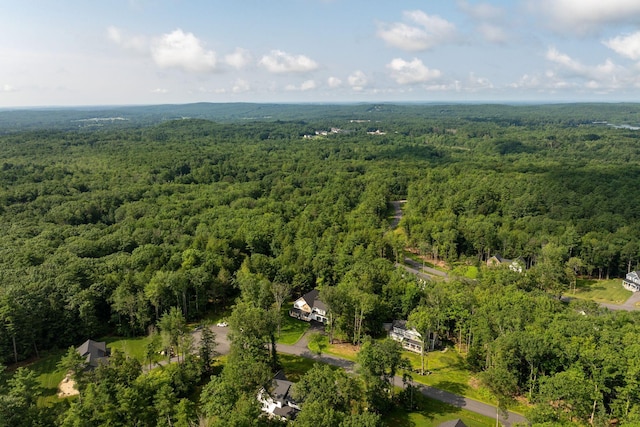 63 Peaceful Way, Cumberland, ME 04021 - photo 38
