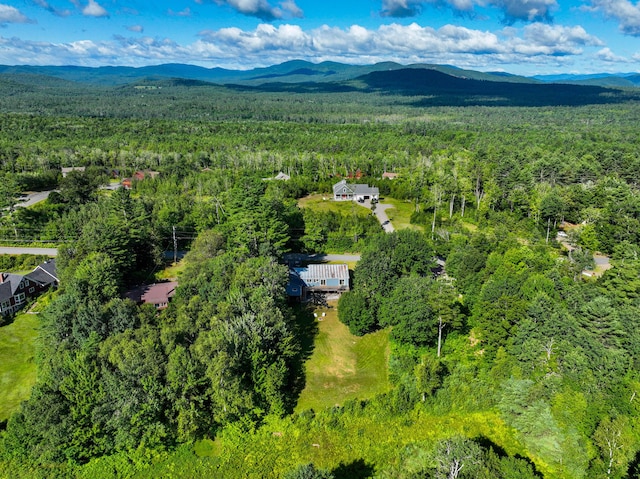 188 Paradise Rd, Bethel, ME 04217 - photo 19