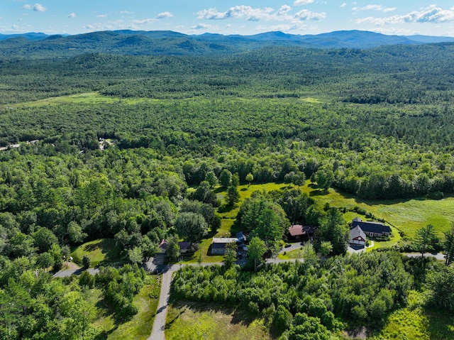 188 Paradise Rd, Bethel, ME 04217 - photo 18