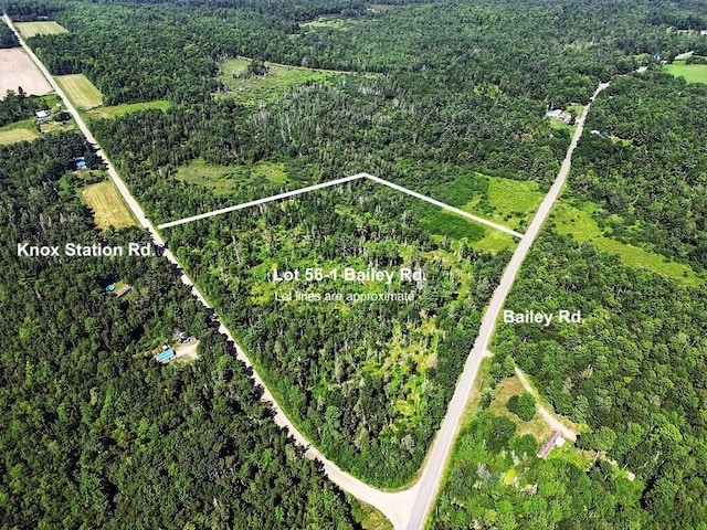 LOT56-1 Bailey Rd, Knox, ME 04986 - photo 1