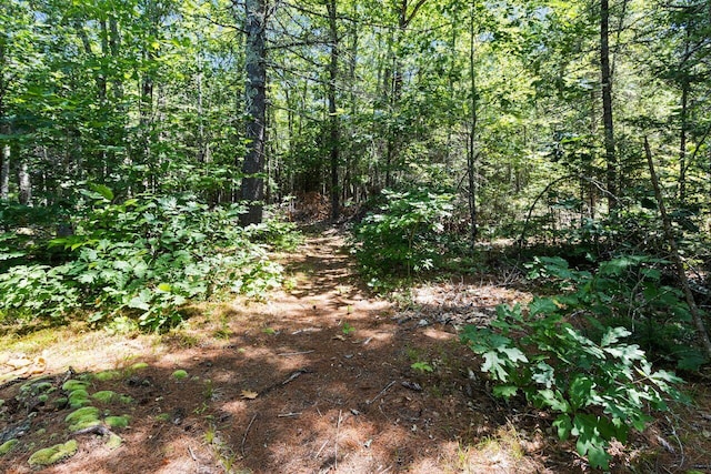 69 Dayton Ln, Dayton, ME 04005 - photo 14
