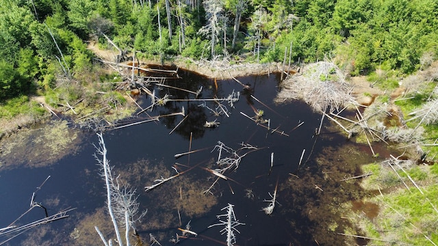 L11-2 Station Rd, Jonesboro, ME 04648 - photo 3