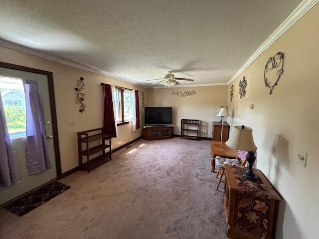 14 Maureen Ave, Randolph, ME 04346 - photo 4