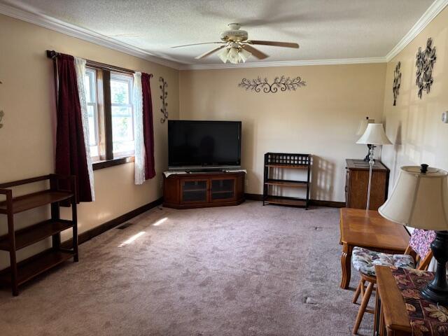 14 Maureen Ave, Randolph, ME 04346 - photo 3