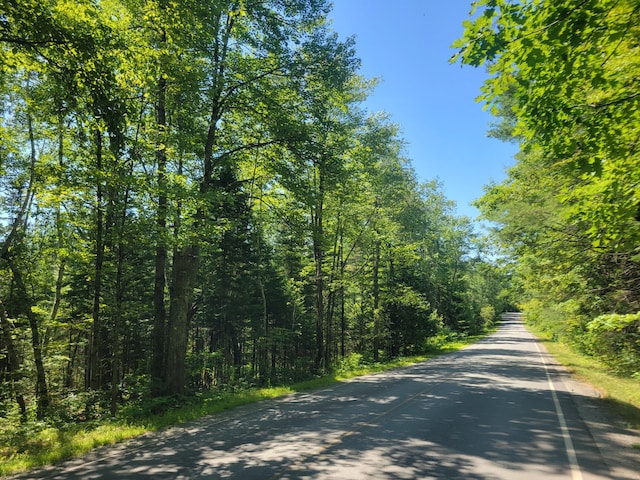 12-03 N Horseback Rd, Burnham, ME 04922 - photo 1