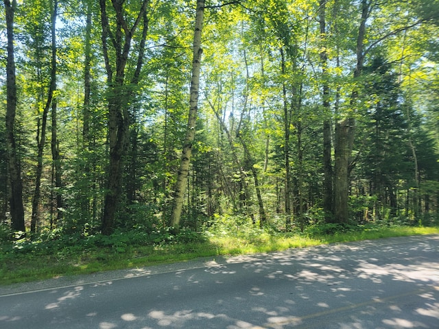 12-03 N Horseback Rd, Burnham, ME 04922 - photo 2