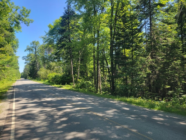 12-03 N Horseback Rd, Burnham, ME 04922 - photo 3