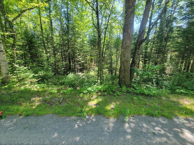 12-03 N Horseback Rd, Burnham, ME 04922 - photo 4
