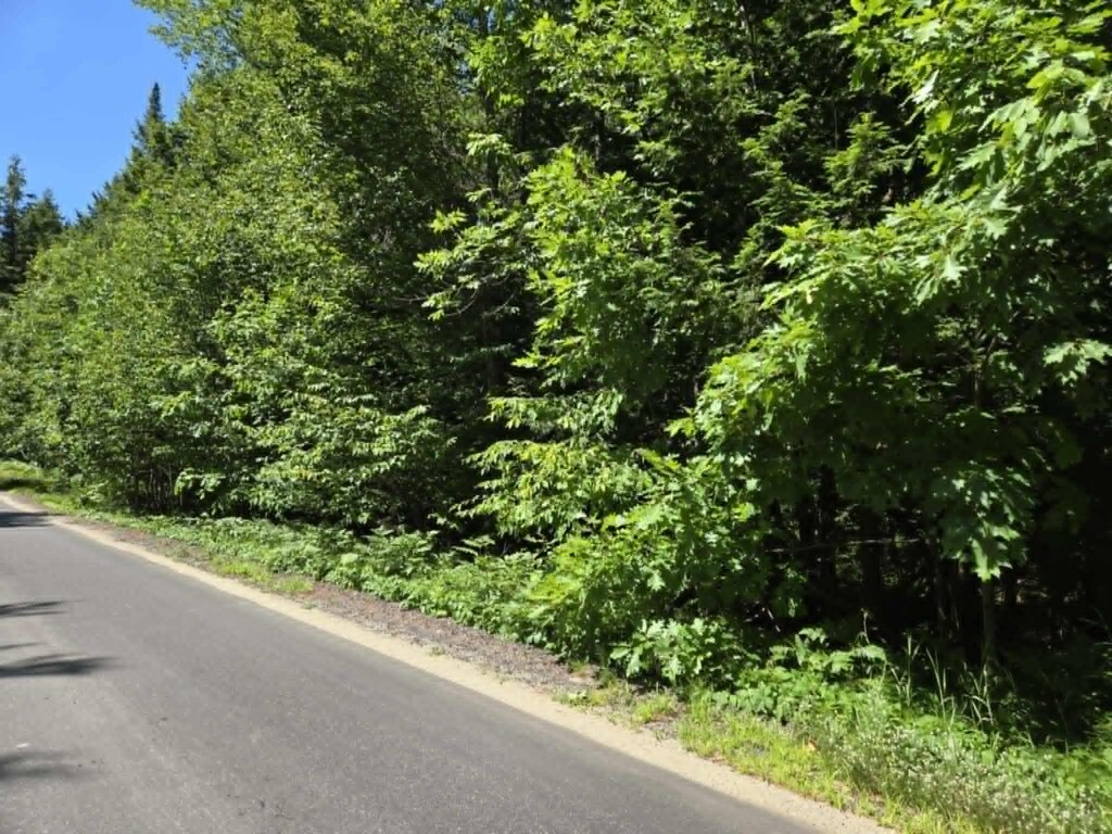 33C/23-04 Dead River Rd, Bowdoin, ME 04289 - photo 1