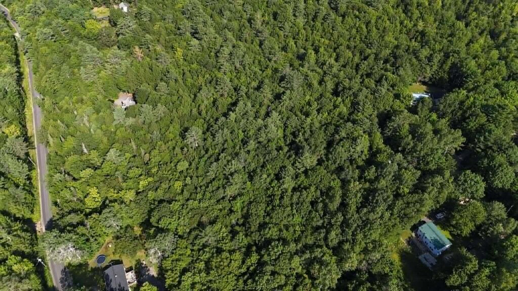 33C/23-04 Dead River Rd, Bowdoin, ME 04289 - photo 2