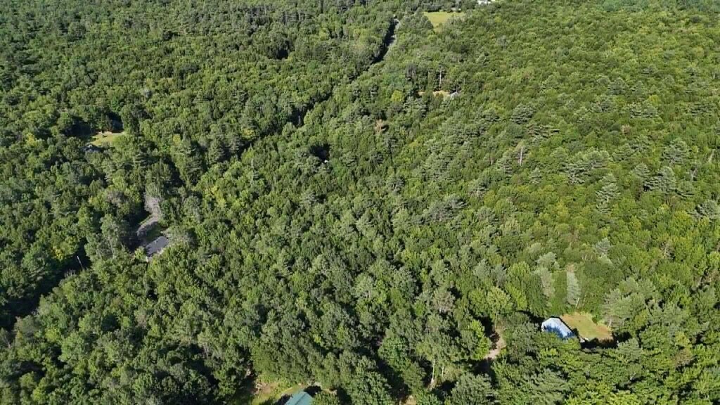 33C/23-04 Dead River Rd, Bowdoin, ME 04289 - photo 3