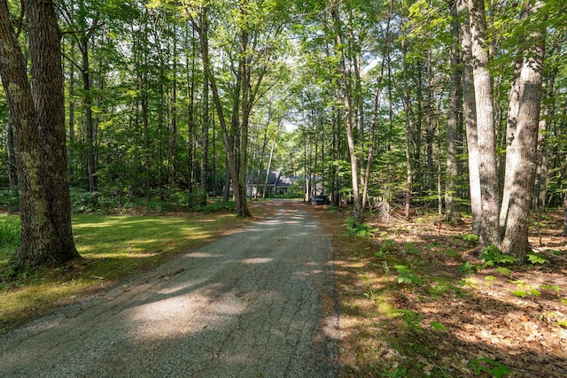 15 Mill Ridge Rd, Cumberland, ME 04021 - photo 50