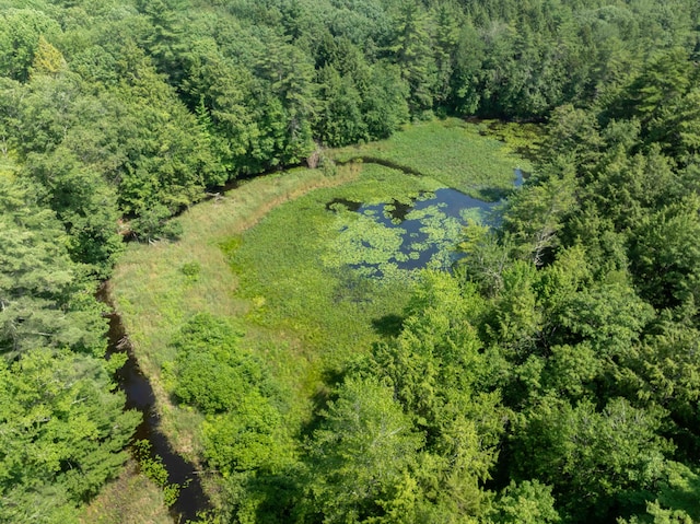 15 Mill Ridge Rd, Cumberland, ME 04021 - photo 58