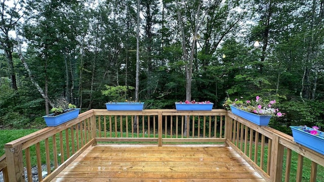 64 Burgess Rd, Casco, ME 04015 - photo 7