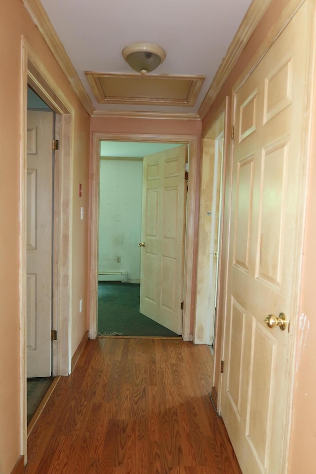 451 Morse Hill Rd, Jay, ME 04239 - photo 27