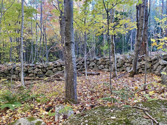 6 Willis Bean Rd Unit 2, 4, Eaton, NH 03832 - photo 4
