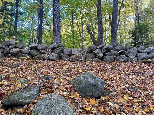 6 Willis Bean Rd Unit 2, 4, Eaton, NH 03832 - photo 13