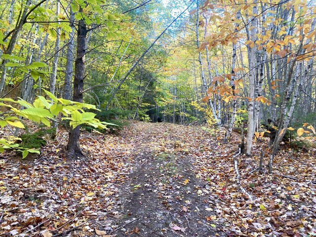 6 Willis Bean Rd Unit 2, 4, Eaton, NH 03832 - photo 20