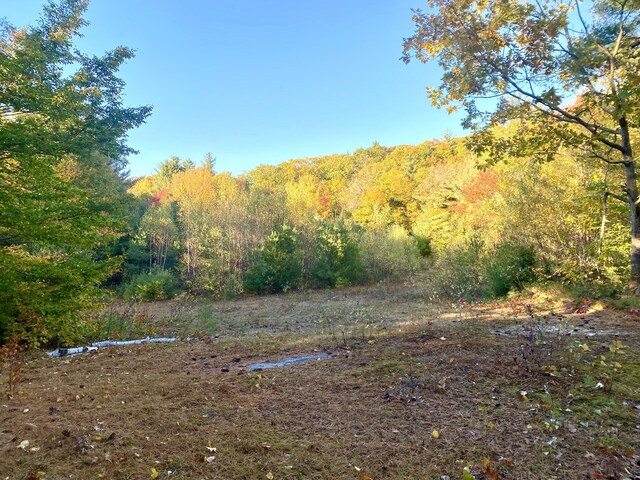 6 Willis Bean Rd Unit 2, 4, Eaton, NH 03832 - photo 22