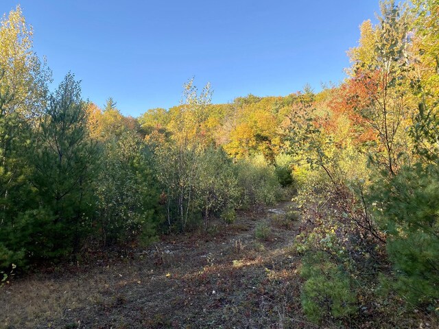 6 Willis Bean Rd Unit 2, 4, Eaton, NH 03832 - photo 24