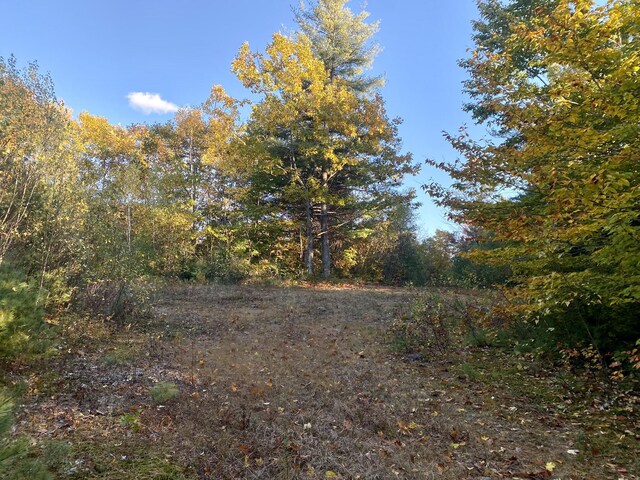 6 Willis Bean Rd Unit 2, 4, Eaton, NH 03832 - photo 26