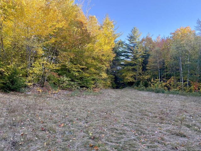 6 Willis Bean Rd Unit 2, 4, Eaton, NH 03832 - photo 27