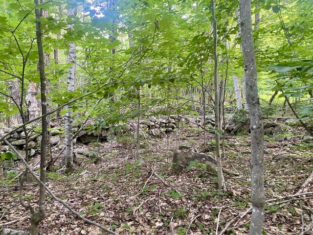 6 Willis Bean Rd Unit 2, 4, Eaton, NH 03832 - photo 30