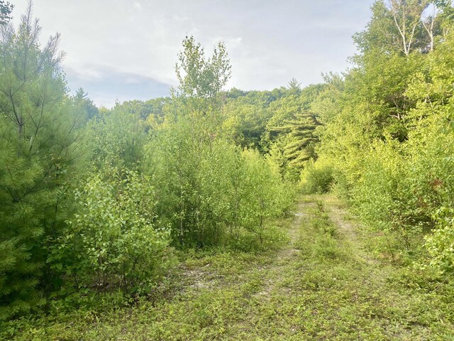 6 Willis Bean Rd Unit 2, 4, Eaton, NH 03832 - photo 32