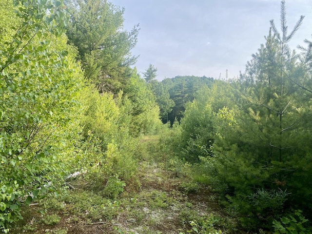6 Willis Bean Rd Unit 2, 4, Eaton, NH 03832 - photo 34