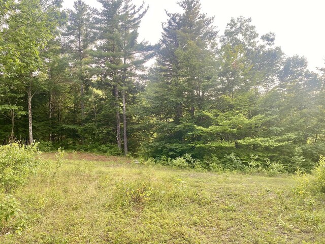 6 Willis Bean Rd Unit 2, 4, Eaton, NH 03832 - photo 35