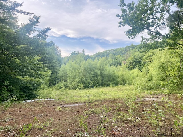 6 Willis Bean Rd Unit 2, 4, Eaton, NH 03832 - photo 37