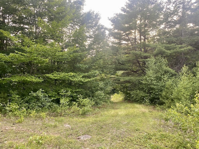 6 Willis Bean Rd Unit 2, 4, Eaton, NH 03832 - photo 38