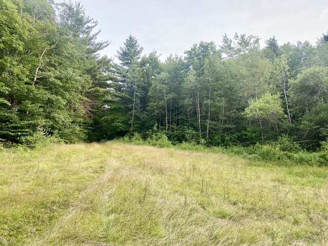 6 Willis Bean Rd Unit 2, 4, Eaton, NH 03832 - photo 40
