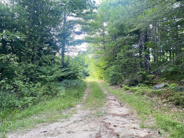 6 Willis Bean Rd Unit 2, 4, Eaton, NH 03832 - photo 44