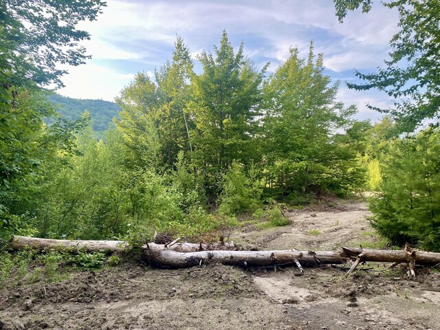 6 Willis Bean Rd Unit 2, 4, Eaton, NH 03832 - photo 50