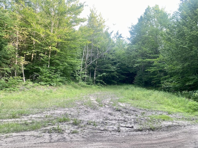 6 Willis Bean Rd Unit 2, 4, Eaton, NH 03832 - photo 51