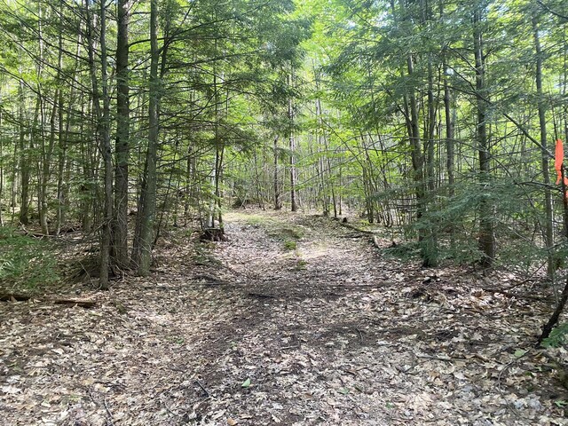 6 Willis Bean Rd Unit 2, 4, Eaton, NH 03832 - photo 60