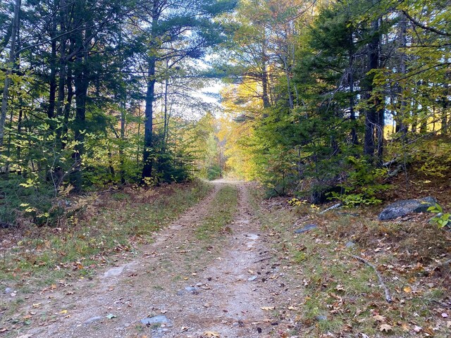 6 Willis Bean Rd Unit 2, 4, Eaton, NH 03832 - photo 61