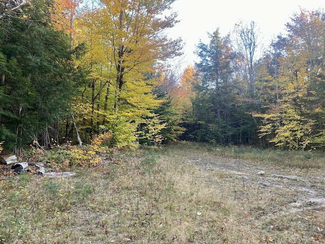 6 Willis Bean Rd Unit 2, 4, Eaton, NH 03832 - photo 62